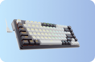 Computer Peripherals