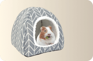 Small Animal Supplies